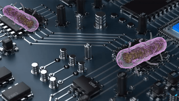 Ученые превратили кишечную палочку в универсальный биокомпьютер [1]
