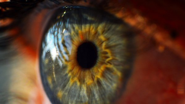 Ученые из Гарварда изобрели искусственный глаз [1]