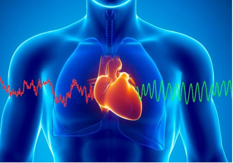 В Перми создали дистанционную систему диагностики сердечно-сосудистых заболеваний [1]