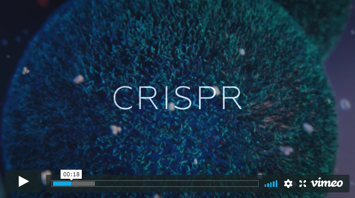 Создана 3D-анимация системы редактирования генома CRISPR [1]