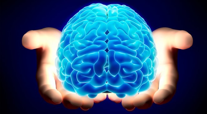 Учёные создали метод замедления старение мозга