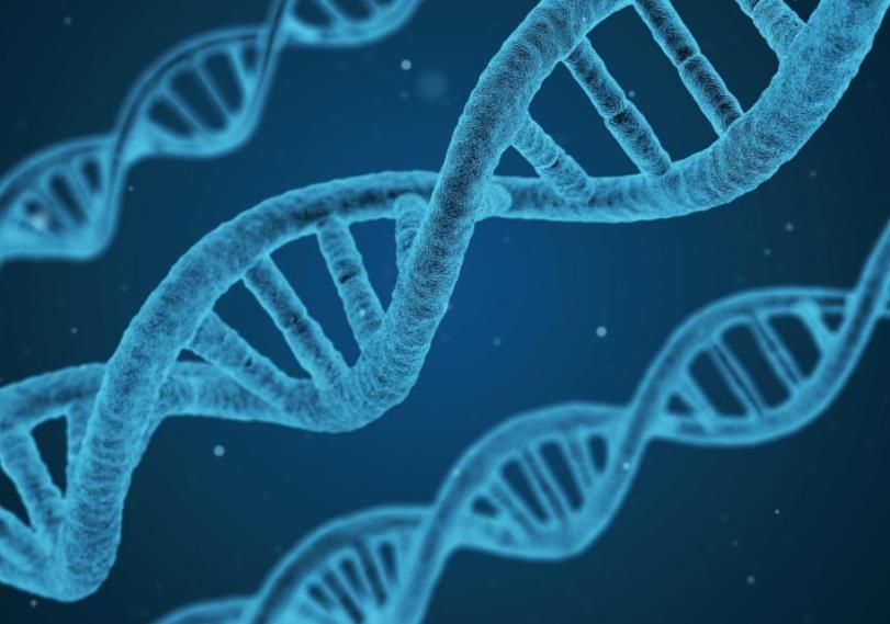 Роспотребнадзор представил законопроект о защите генетических данных [1]
