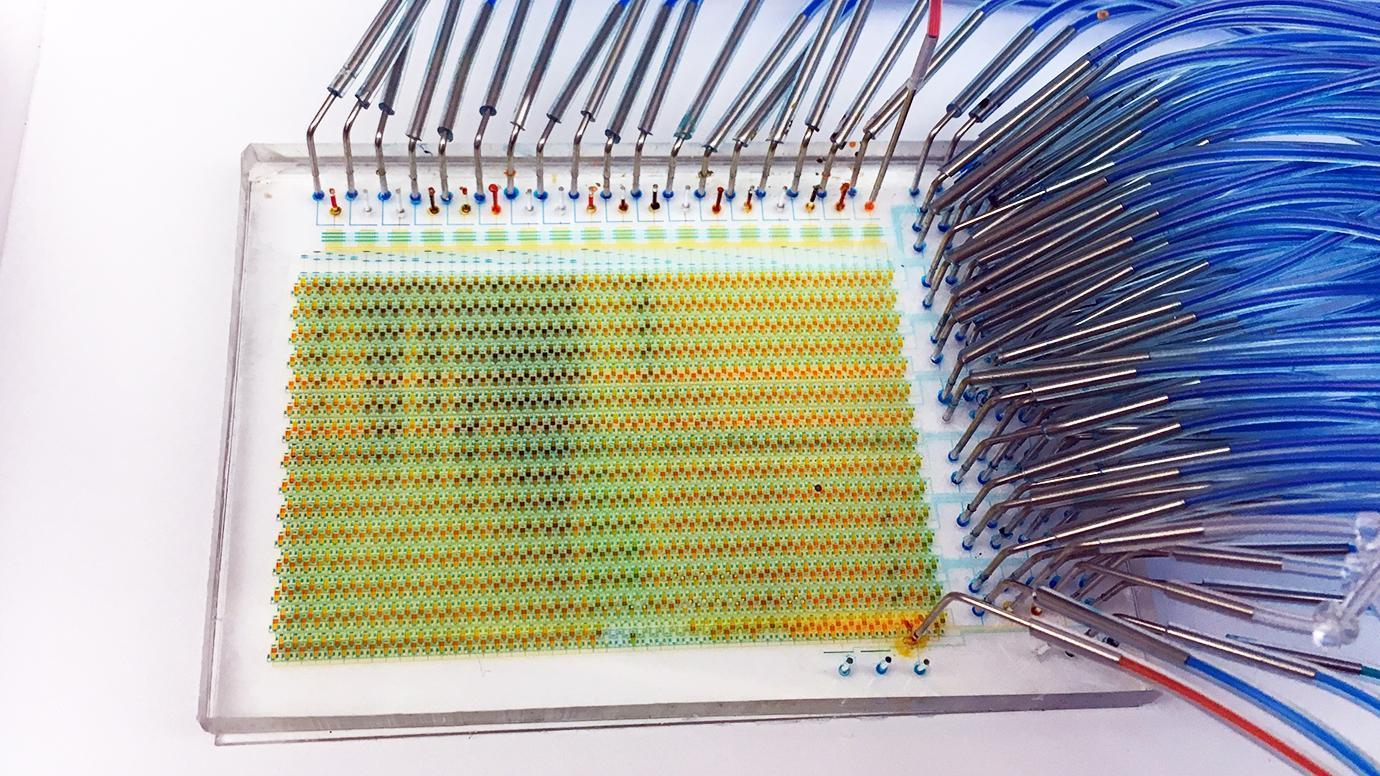 Лаборатория-на-чипе может тестировать тысячу стволовых клеток одновременно [1]
