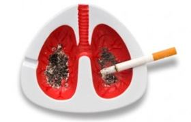 Пачка сигарет в день вызывает сотню мутаций в клетках легких