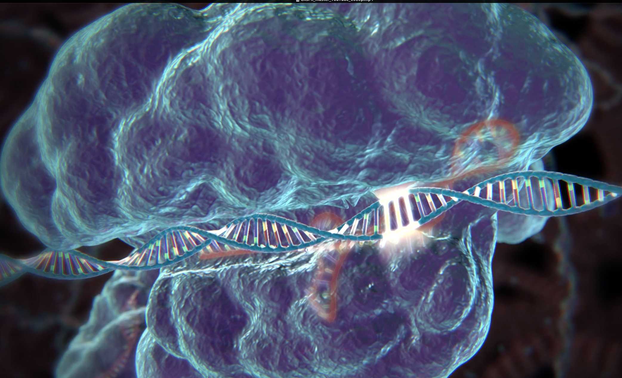 Впервые в ДНК человеческого эмбриона заменили ген, отвечающий за болезнь [1]
