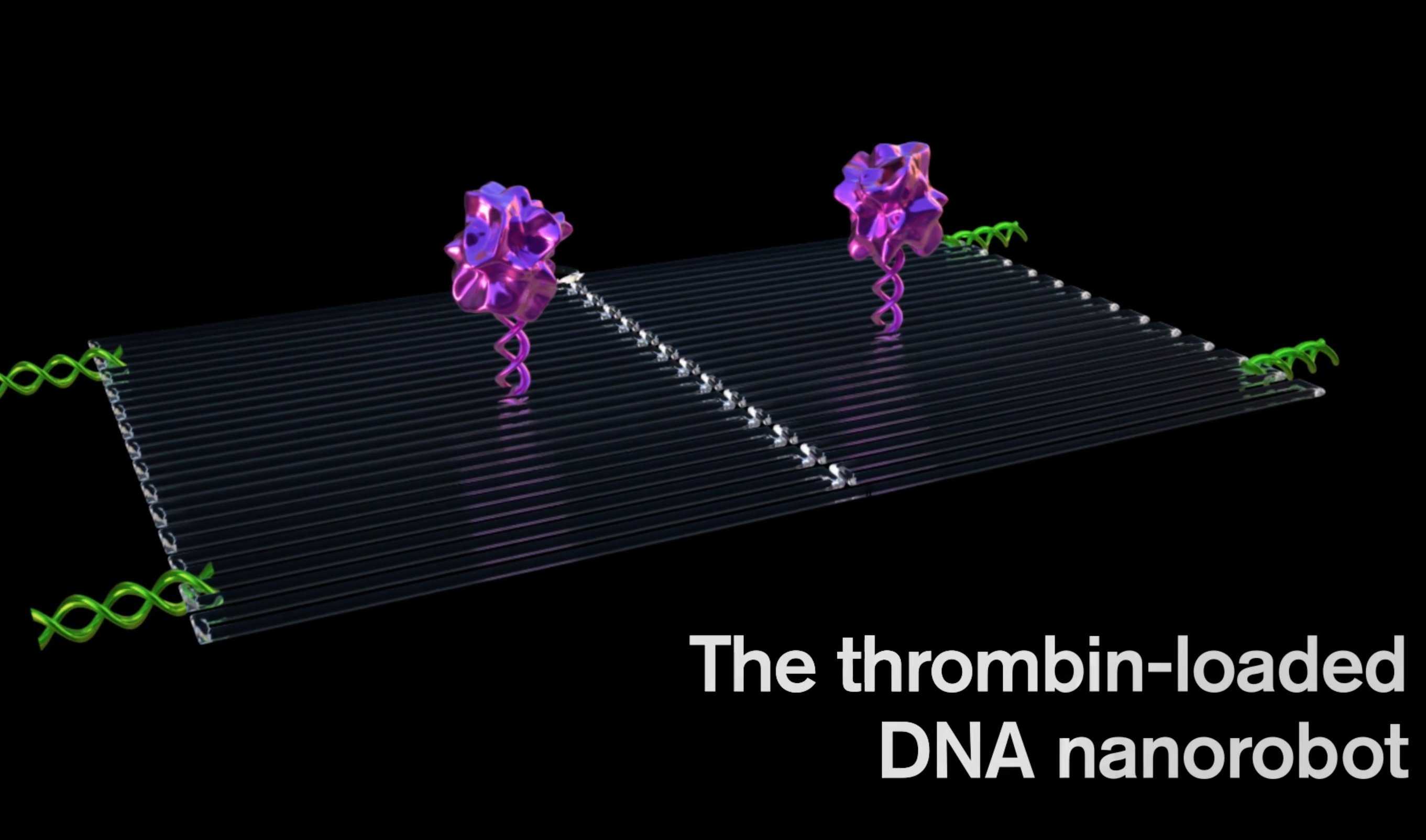 Разработаны нанороботы, способные уничтожать раковые клетки [1]