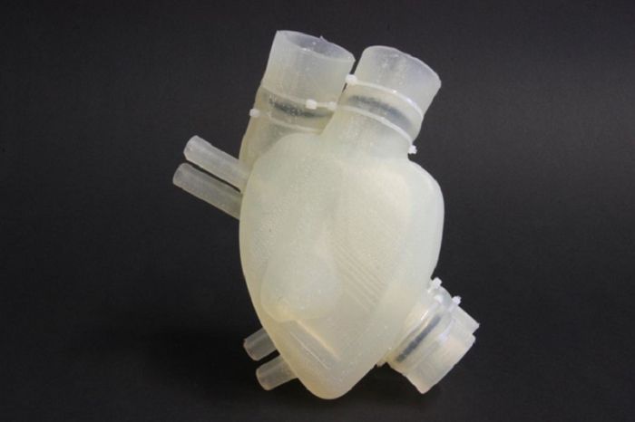 В Швейцарии разрабатывают искусственный аналог человеческого сердца с помощью 3D-печати [1]