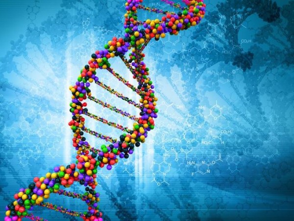 Генетика-2016: итоги [2]