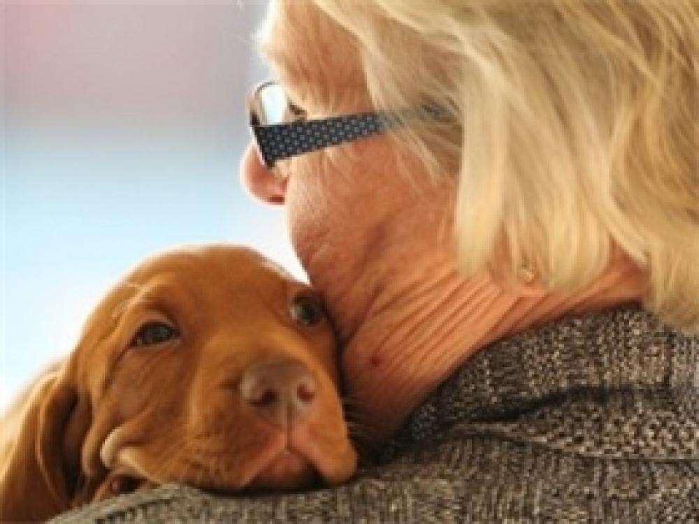Домашние животные могут помочь пожилым людям справиться с хронической болью